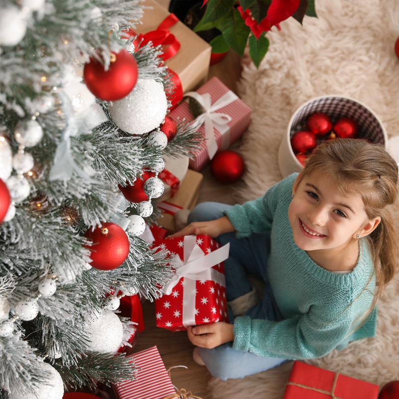 Snow Flocked Pre-lit Christmas Tree